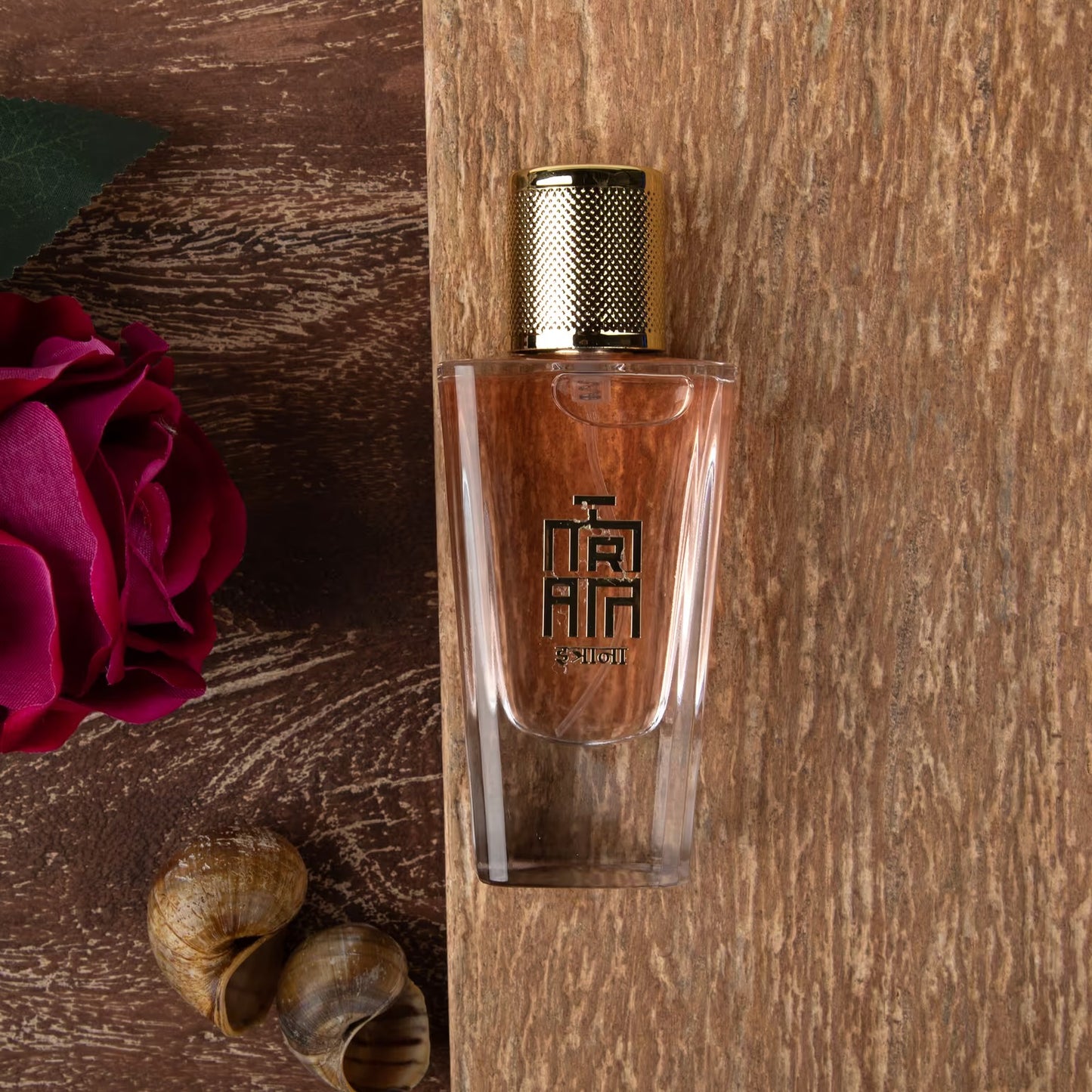 Darkwood Charm - 50 ml
